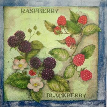 050 Beeren - 3-lagig (blau) - Ti-Flair
